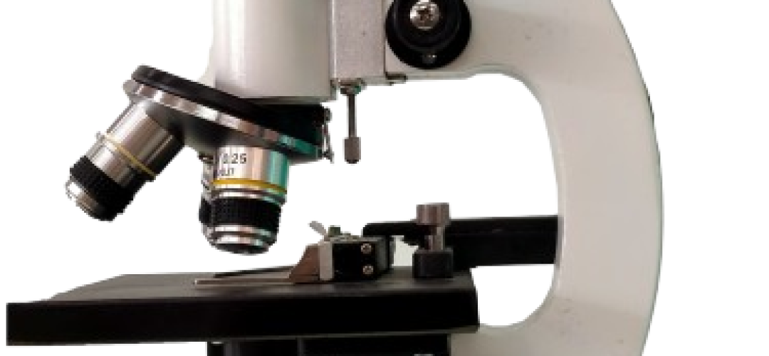 ms-removebg-preview